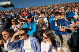Leinster Rugby Fans Hill 16 Croke Park